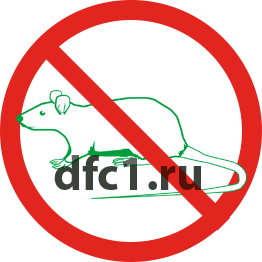 Уничтожение крыс в Нефтеюганске