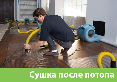 Сушка после потопа в городе Нефтеюганск