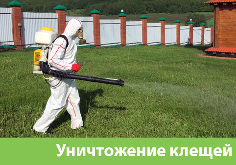 Уничтожение клещей в городе Нефтеюганск